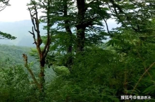 男生明明喜欢我，为啥不明确告诉我呢？游戏画面